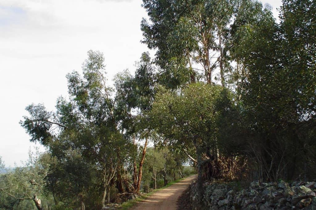 Casa En El Pantano De Orellana Orellana de la Sierra Εξωτερικό φωτογραφία